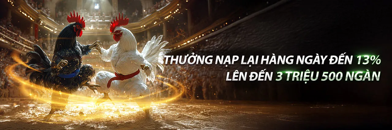 Đá Gà Trực Tuyến Hấp Dẫn tại 69vin web
